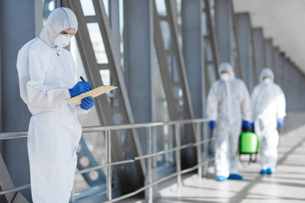 Best Black Mold Removal  in Bonham, TX