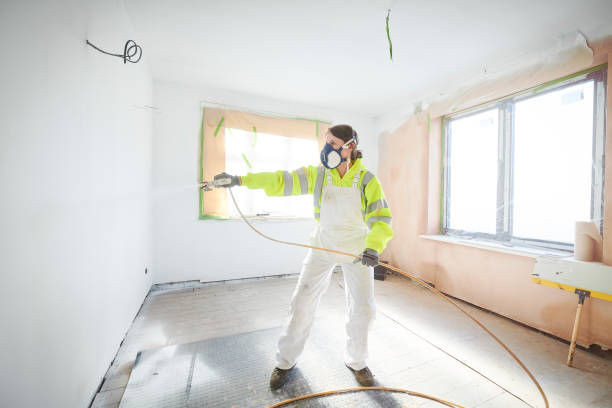 Mold Documentation for Insurance Claims in Bonham, TX