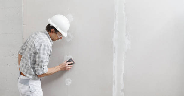 Reliable Bonham, TX Mold Removal Solutions