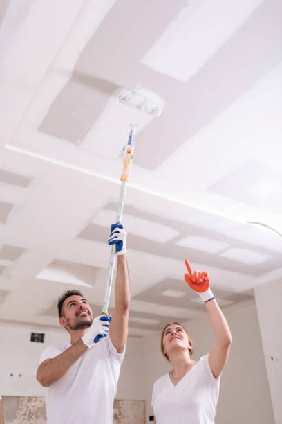 Mold Removal for HVAC Installations in Bonham, TX