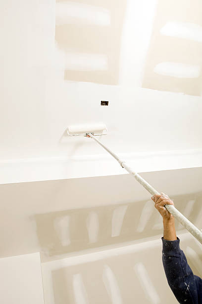  Bonham, TX Mold Removal Pros