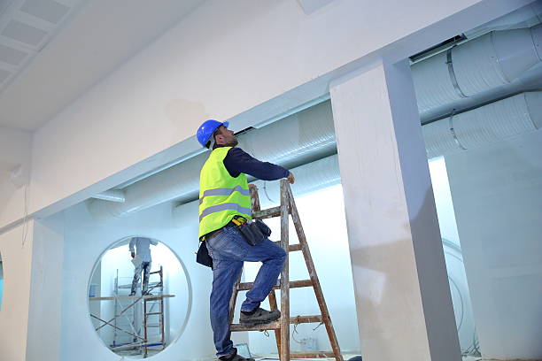 Best Biohazard Mold Removal  in Bonham, TX